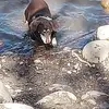 Catherine Bourne - @catherine.bourne54 - TikTok