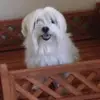 catherinebowden72 - @catherinebowden72 - TikTok