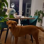 Catherine Bower - Facebook