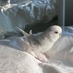 Katherine Bower - @sharonlangdon872fsq - Instagram