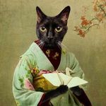 Catherine Bowles - @caffywaffy22 - Instagram