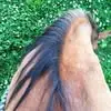 Catherine Bowles - @catherine.bowles5 - TikTok
