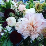 Catherine Bragg - @catherineflourchylde.c - Instagram