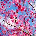 Catherine Bragg - @catherine.bragg.10 - Instagram