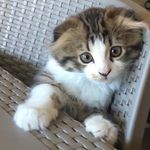 Catherine Brandon - @catherine.brandon2 - Instagram