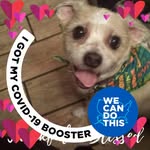 Catherine Branson - @catty1958 - Instagram