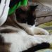 Catherine Bratcher - Facebook