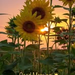 Catherine Bratcher - Facebook