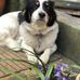Catherine Bremner - Facebook