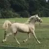 catherinebridge85 - @catherinebridge85 - TikTok