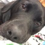 Catherine Briscoe - Facebook