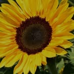 Catherine Broadhurst - Facebook