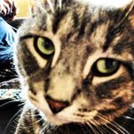 CatBro - @catherine.brock - Instagram