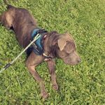 Catherine Broda - @ceb0911 - Instagram