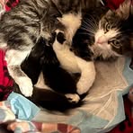 Catherine Broda - Facebook