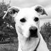 Catherine Brunner-Huber - Facebook
