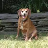 Katherine Brunson688 - @katherinebrunson1 - TikTok
