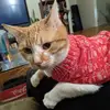 Catherine Bruton877 - @mechakittyb - TikTok