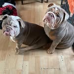 Catherine Bruton - @catherine.bruton.76 - Instagram