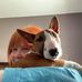 Catherine Bryant - Facebook