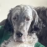 Catherine Bryson - @jasperscap02 - Instagram