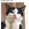 Katherine Buckner - @katherine.buckner - TikTok