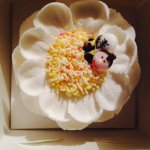 Catherine Buda - @catneo2228 - Instagram