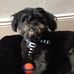 Catherine Burdick - Facebook