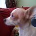 Cathy Burrage - Facebook