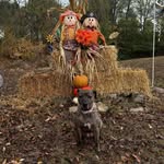 Catherine Ann Busch Johnson - @katiekomo2 - Instagram