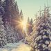 Catherine Bush - Facebook
