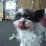 Catherine Bustos - @catherine.bustos.5 - Instagram