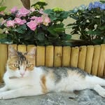 Cabero - @catherine.cabero - Instagram