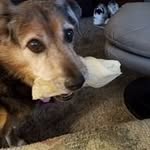 Catherine Cagle - @catherine.cagle1 - Instagram