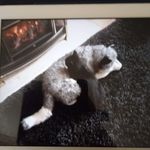 Catherine Cain - @catherine.cain.750546 - Instagram