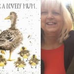 Catherine Odwyer Callan - @tilly333 - Instagram
