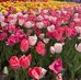 Catherine Camacho - Facebook