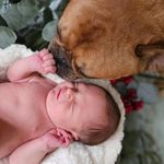 Catherine M Camp - @catherine.camp - Instagram