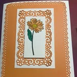 Catherine's Cards - @catherine.cards.canada - Instagram