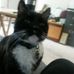 Catherine Canfield - Facebook