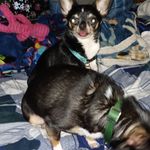 Catherine Cantrell - @catherine.cantrell.39545 - Instagram