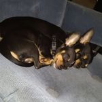 Catherine Cantrell - @catherinecantrell505 - Instagram