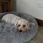 Catherine Carolan - @carolan205 - Instagram