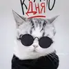 Хайман - @catherinecarpenter4 - TikTok