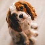 Mia Catherine Carruthers - @miacatherinecarruthers - Instagram