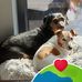 Catherine Cassidy - Facebook