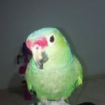 Catherine Castaneda - Facebook