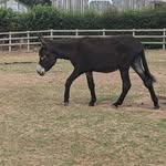 Catherine Cheetham - @catherine.cheetham - Instagram