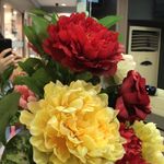 Catherine Chew - @chew6188 - Instagram
