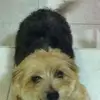Catherine Chew - @catherine.chew6 - TikTok